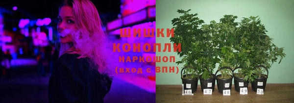 гашик Киренск