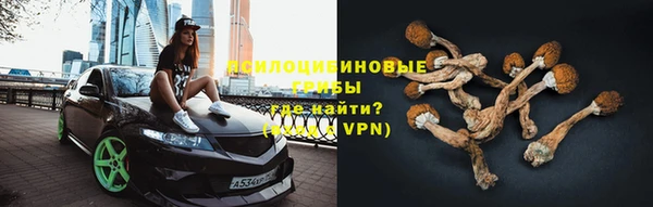 дживик Кинешма