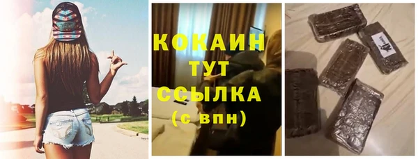 дживик Кинешма