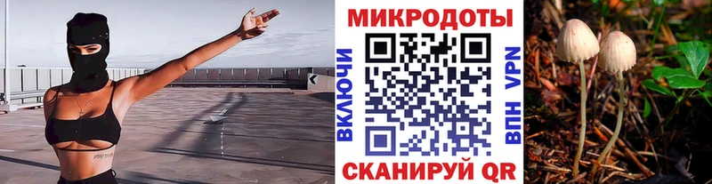 Псилоцибиновые грибы Psilocybe  где можно купить наркотик  Арзамас 